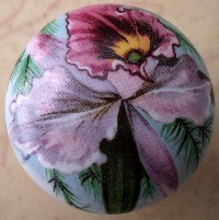 <b>Cabinet Knob Orchid</b>