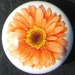 CERAMIC CABINET DRAWER PULL KNOB  ORANGE DAISY