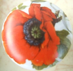 <b>Cabinet Knob Lg Poppy</b>