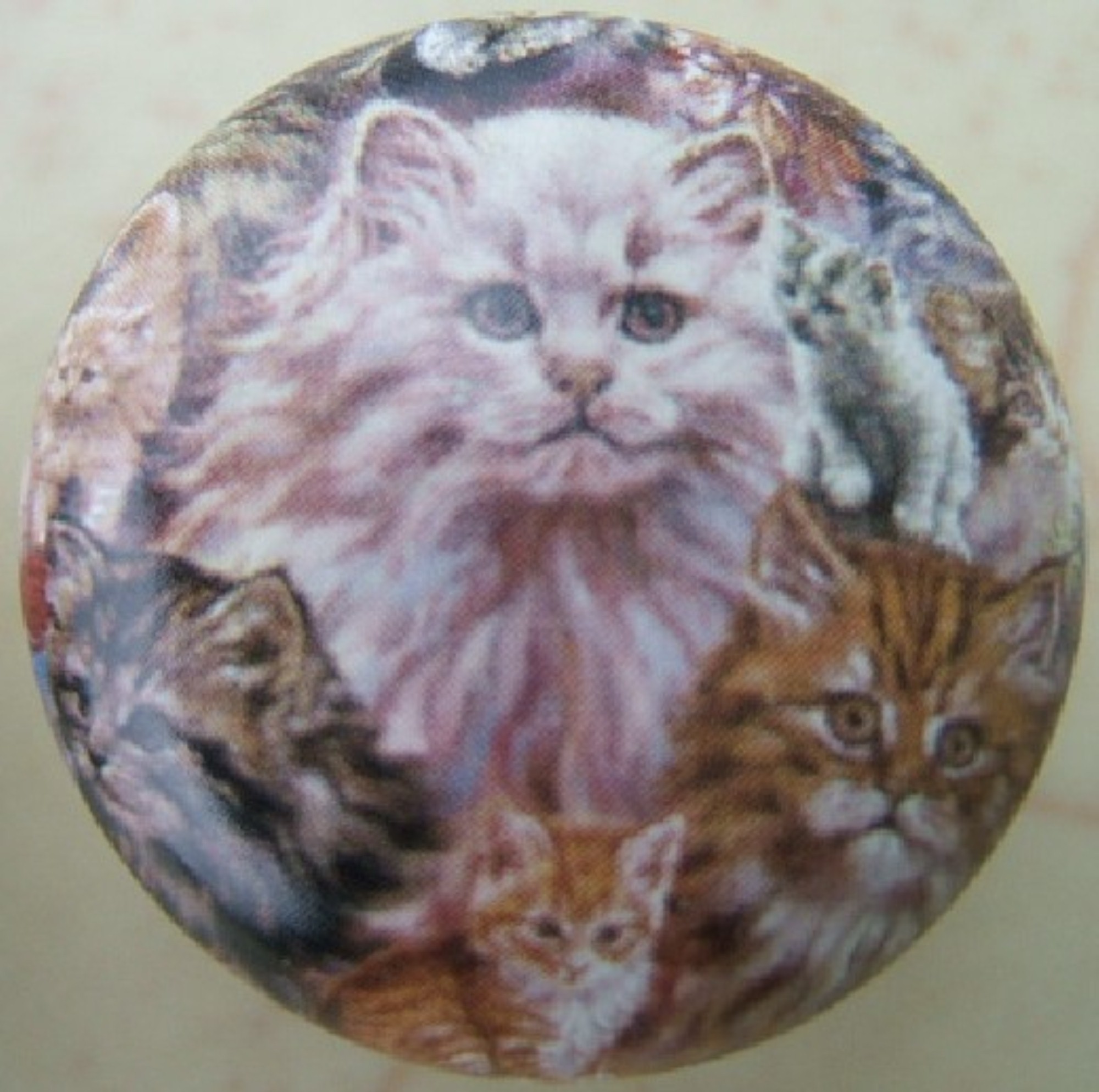 Inexpensive Quality Cabinet Knobs Cats Persian Siamese