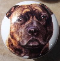 ceramic cabinet knob american staffordshire terrier pitbull brindle