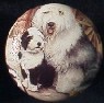 ceramic cabinet knob old english sheep dog OES