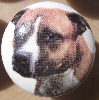 ceramic cabinet knob american staffordshire terrier pitbull