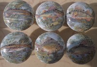 CERAMIC CABINET KNOB FRESH WATER GAME FISH TROUT PICKERAL BASS PIKE available at mariansceramics.com