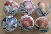 Cabinet knobs w/6 Watercolor Fruit