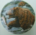 Cabinet knob Black Bear grizzly